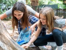 Understanding Ecosystems Through Immersive Learning