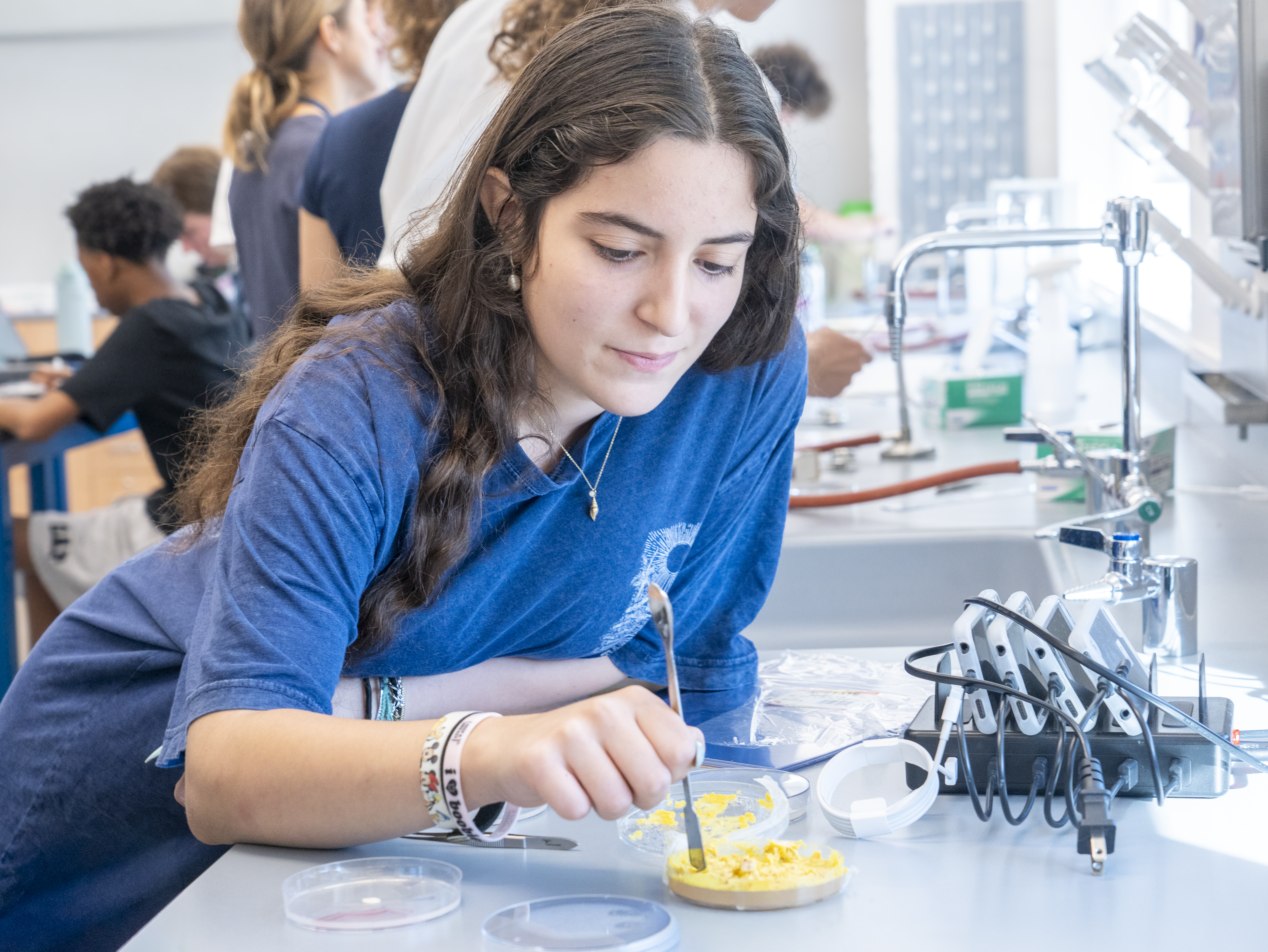 Challenging Intelligence By Observing Slime Mold