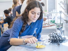Challenging Intelligence By Observing Slime Mold